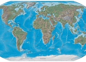 Early Birds and China's Mice