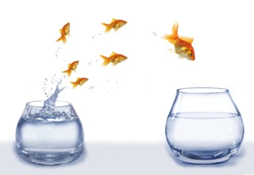 Breakaway Innovation and the Vital Idea Ecosystem