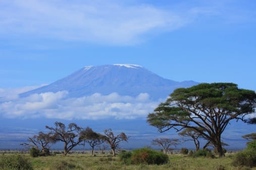 The Survivors Who Summited