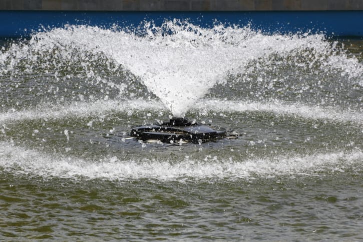 Serving the Public for Sustainability