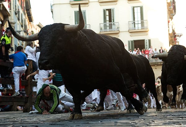 Siegel: A Bull Market With Legs