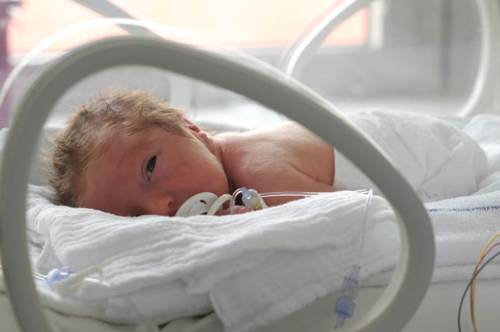 Viewing Startup Incubators From Inside-Out