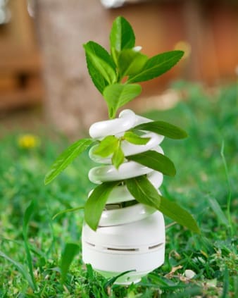 Taking Charge of Green Energy