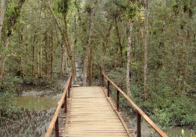 From the Cluster: Crossing the Great Sustainability Divide