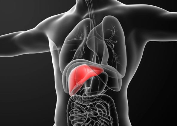 Debating the Value of High-Cost Drug Therapies Like Sovaldi