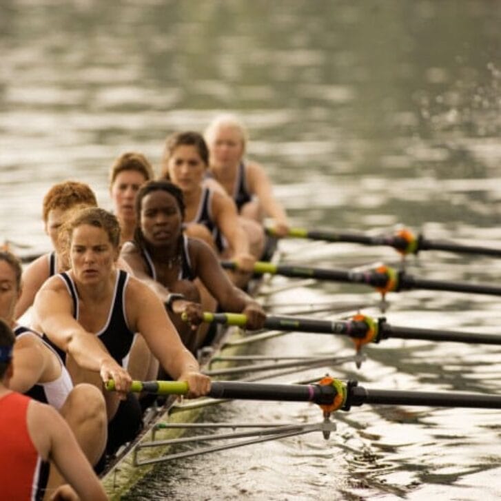 Business Leaders: Row All in the Same Boat