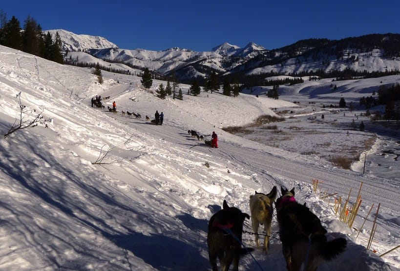 Learning Leadership at 20 Below