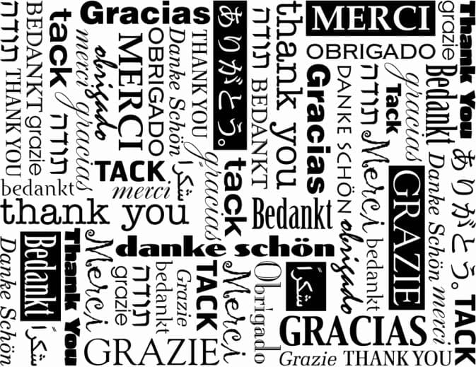 Giving Thanks for Alumni-Inspired Excellence