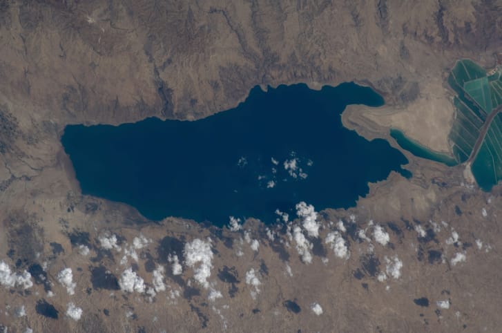 A Nation of Entrepreneurship