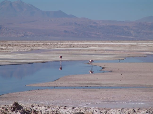 Atacama and Creative Strategy: All in a Summer