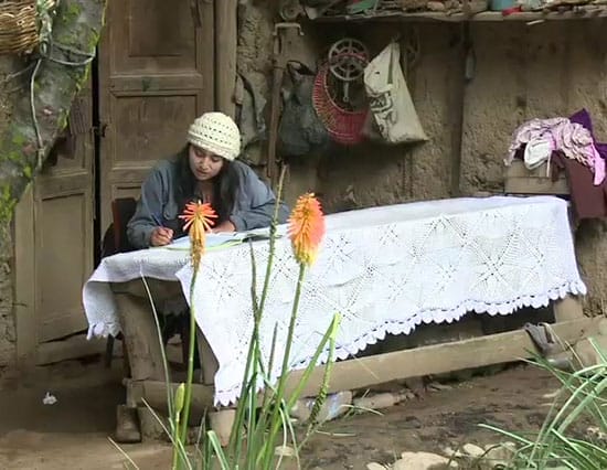 Shared Value in Global Development