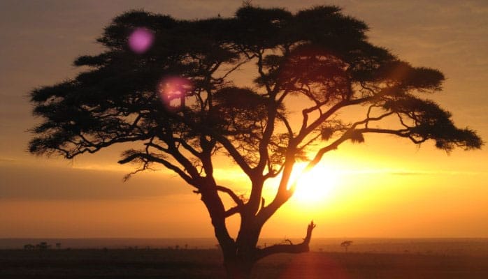 3 Reasons to Be Optimistic About Africa
