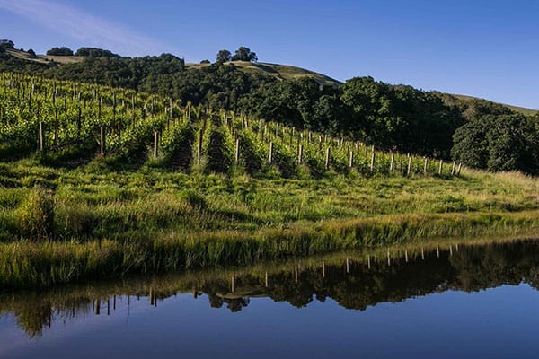 Turning Sonoma Sideways With Sustainability