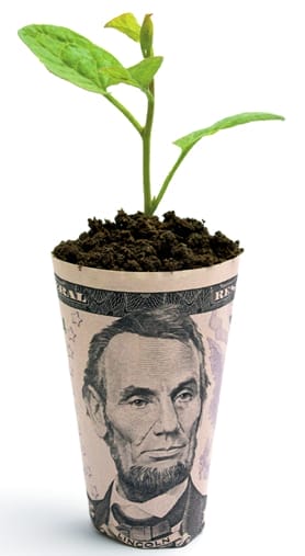 Growing Ever Greener