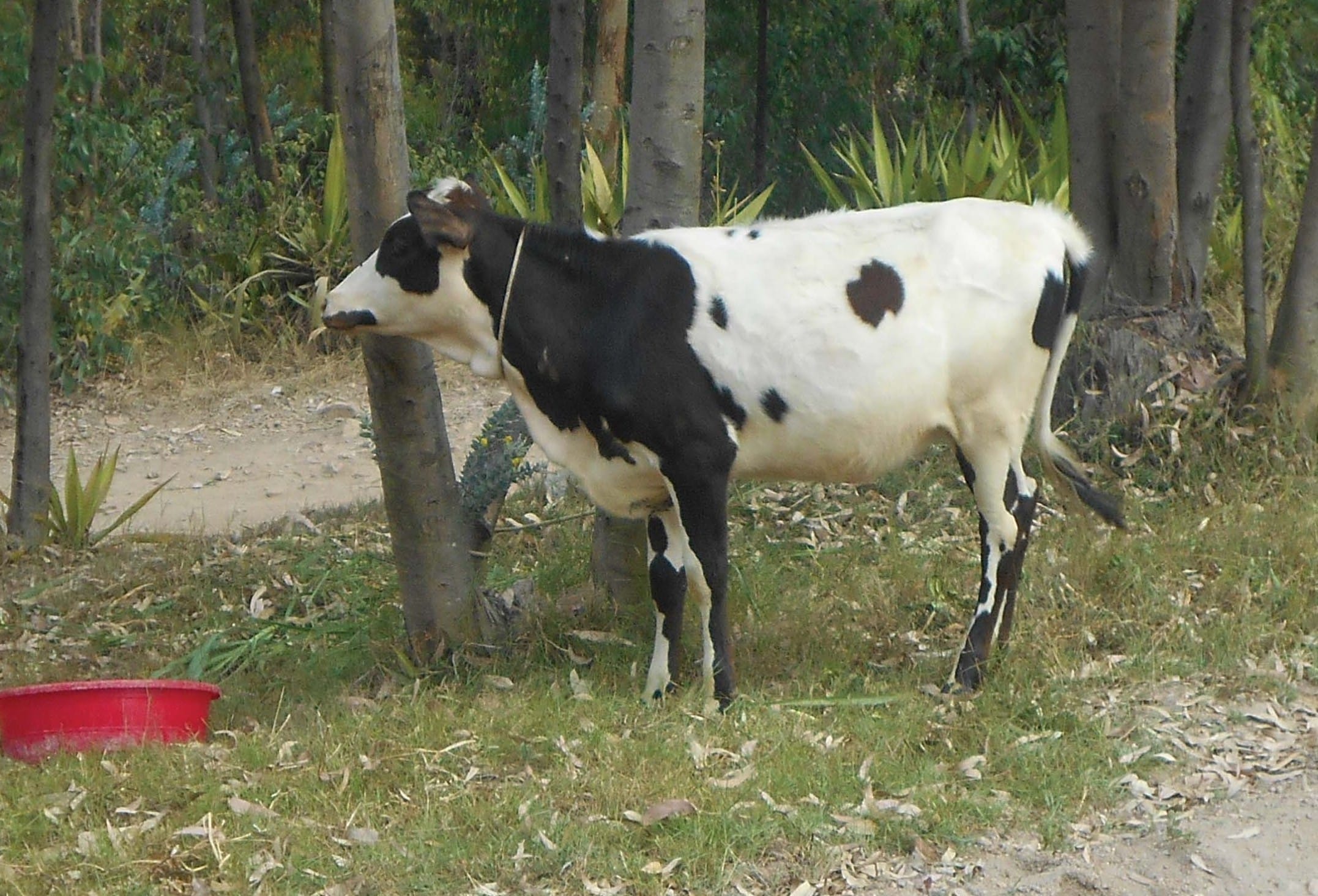 ReBlog: The Parting Gift