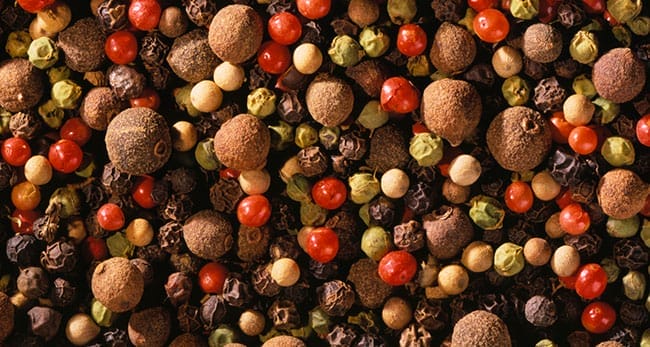 6 Ingredients for Business Staying Power