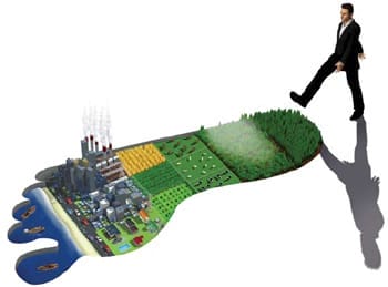 Environmental Engagement Drives the Conditions for Long-Term Economic Growth…and Brand Survival 2