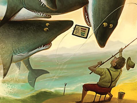 ReBlog: Four Tips to Succeeding With the Sharks