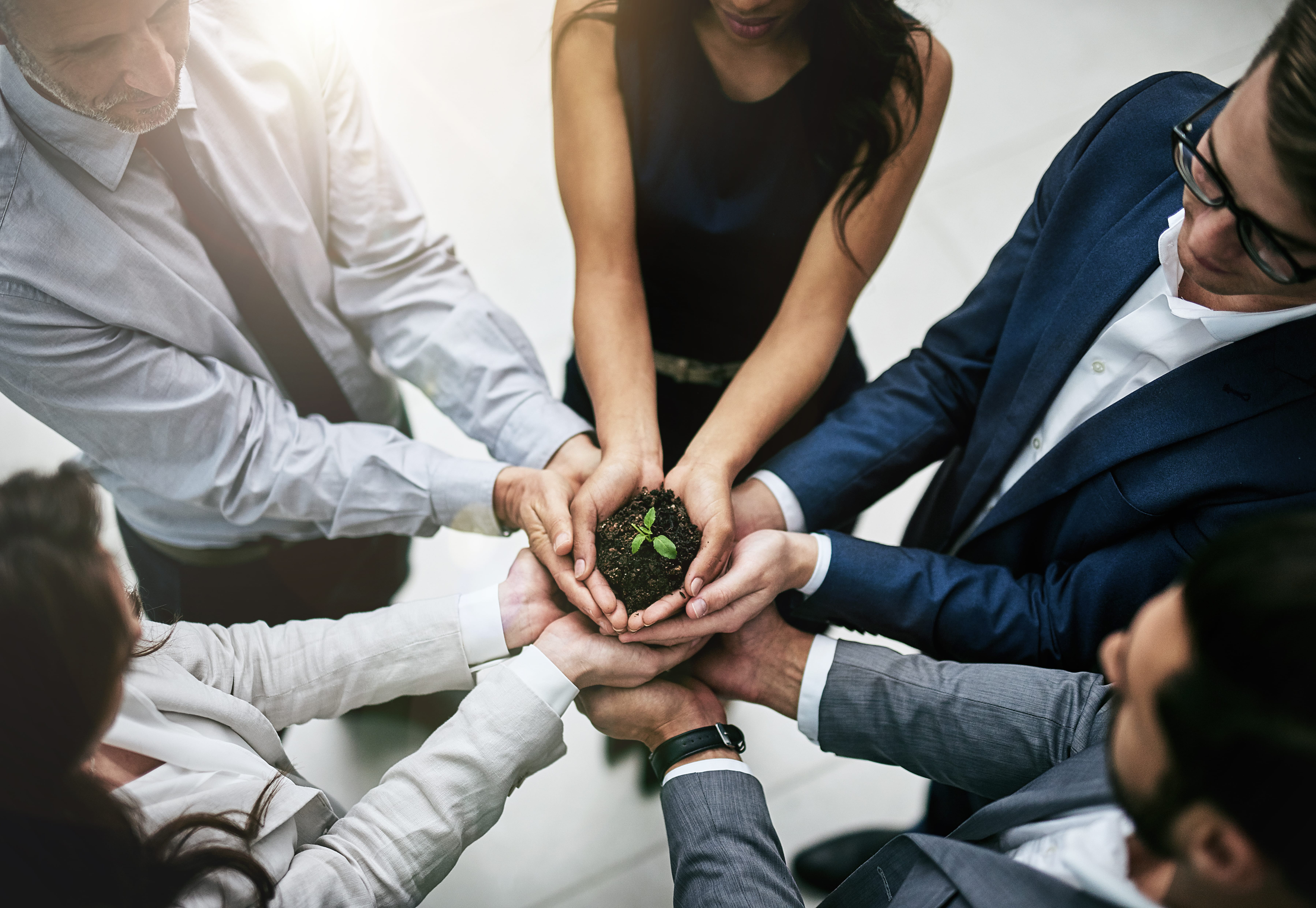 Could China Become the Global Leader For Sustainable Development?