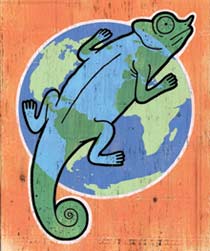 Cultural Fluency for Global Lives