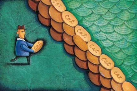 Catastrophe and the Capital Markets