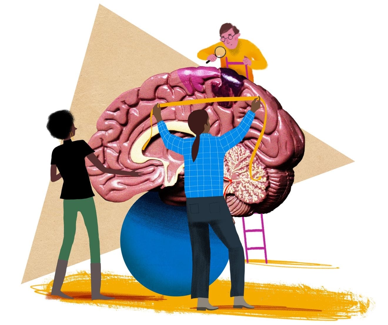 Illustration of students examining a large brain.