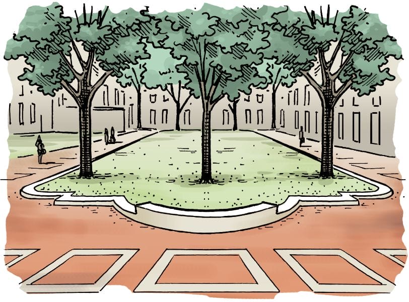 Illustration of Tannenbaum Quad