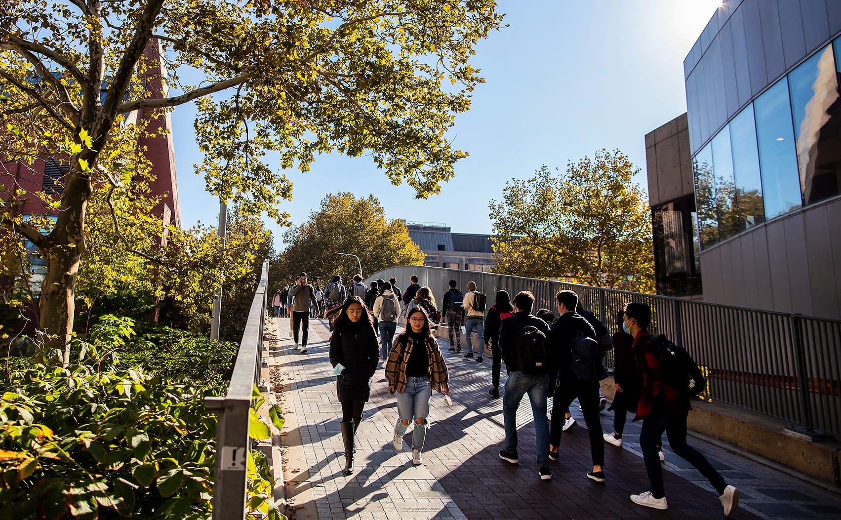 Students walking on a pathway on the University of Pennsylvania's campus.