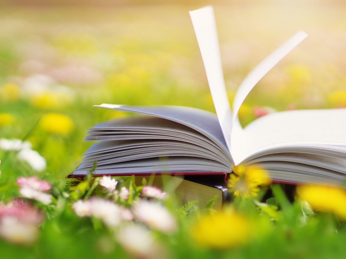 Open book in a grassy field on a sunny day in spring.