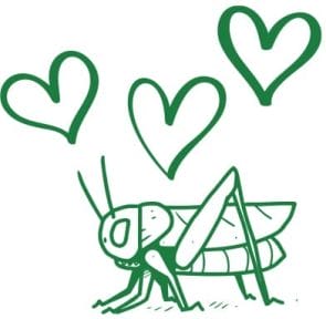 Illustration of a cricket with three hearts hovering overhead.