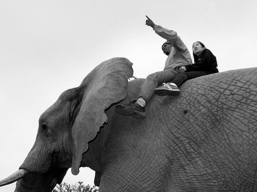 A man and woman atop an elephant, with the man pointing at something and the woman's eyes following.