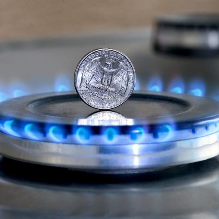 Commodity Investment: Don’t Get Burned in Natural Gas (Part I)