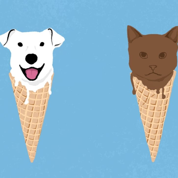 Conceptual image of ice cream cones with cat and dog heads instead of the ice cream on top.