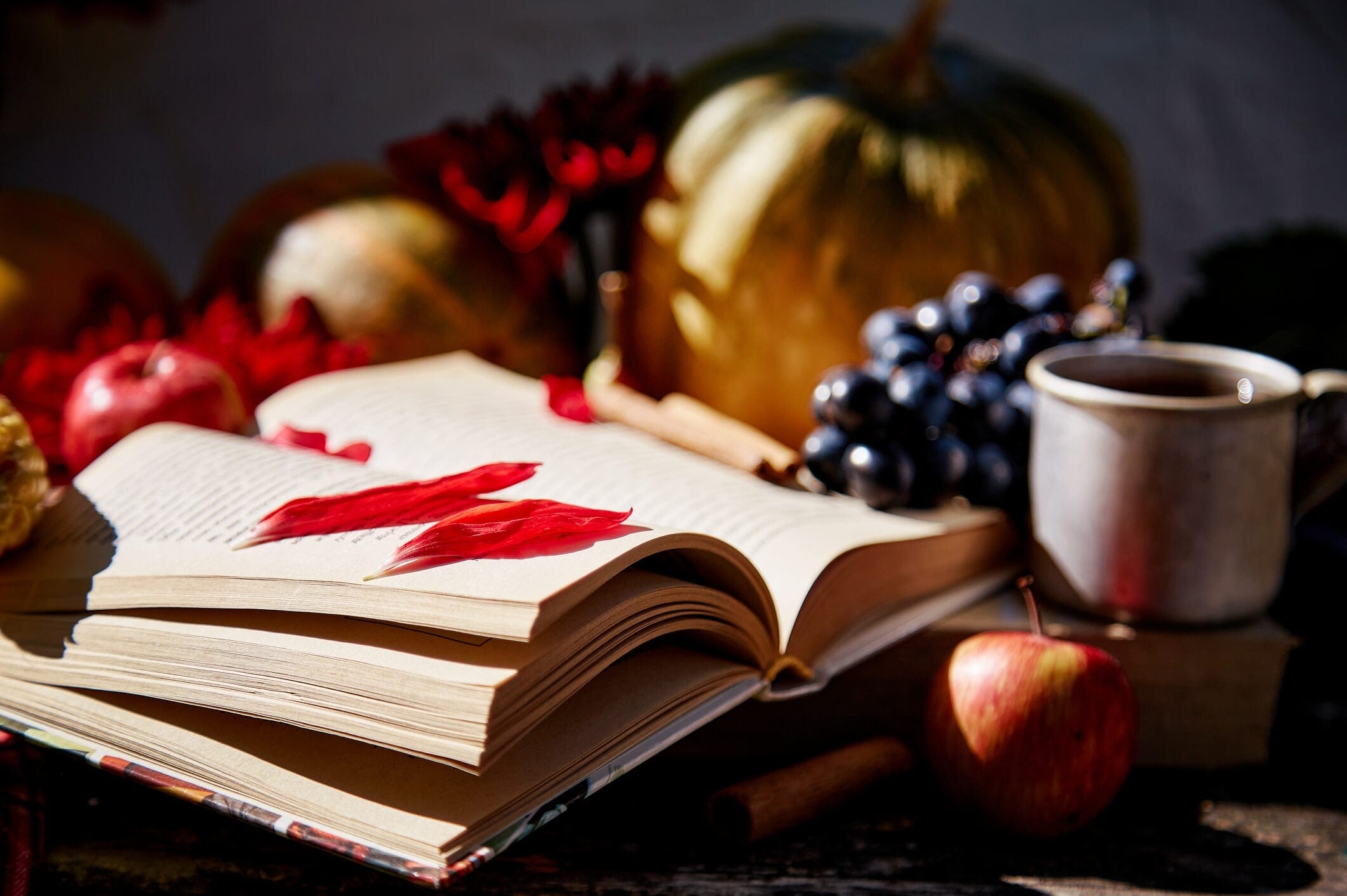 An open book surrounded by fall items such as an apple and a pumpkin.