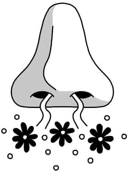 Illustrated nose with flowers coming out of the nostrils.