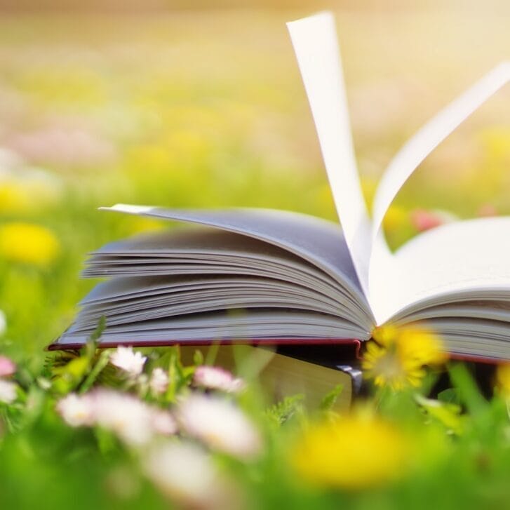 Open book in a grassy field on a sunny day in spring.