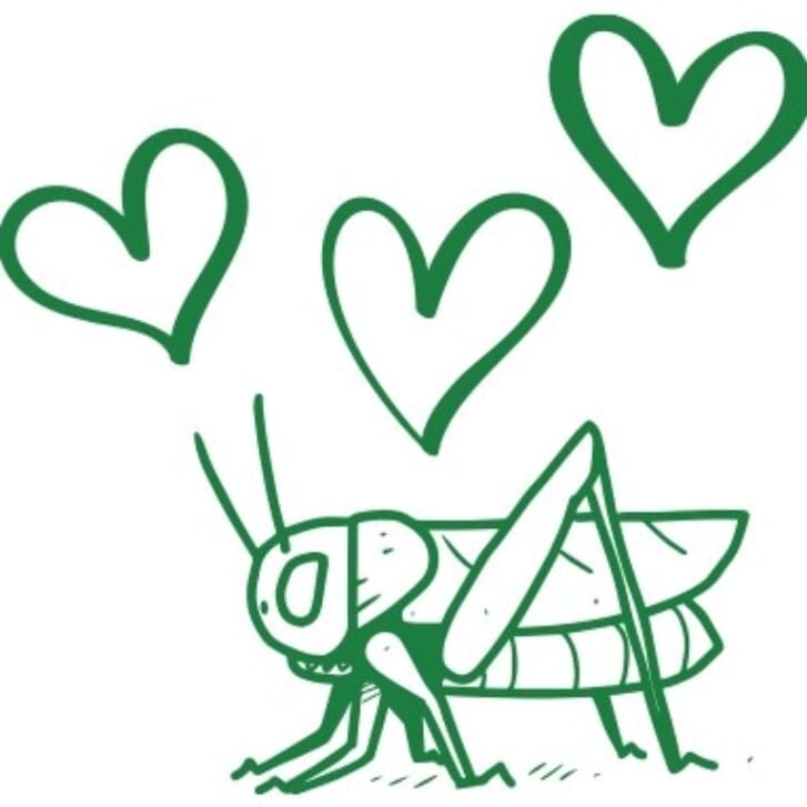 Illustration of a cricket with three hearts hovering overhead.