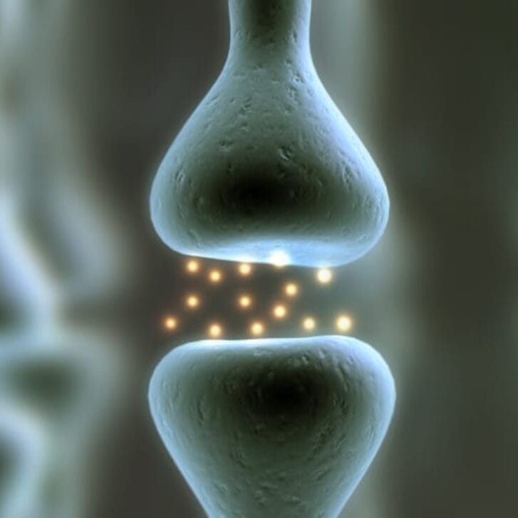 Neurochemistry of 3 Decision Dilemmas: Part 1