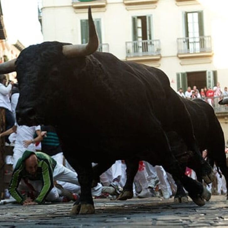 Siegel: A Bull Market With Legs