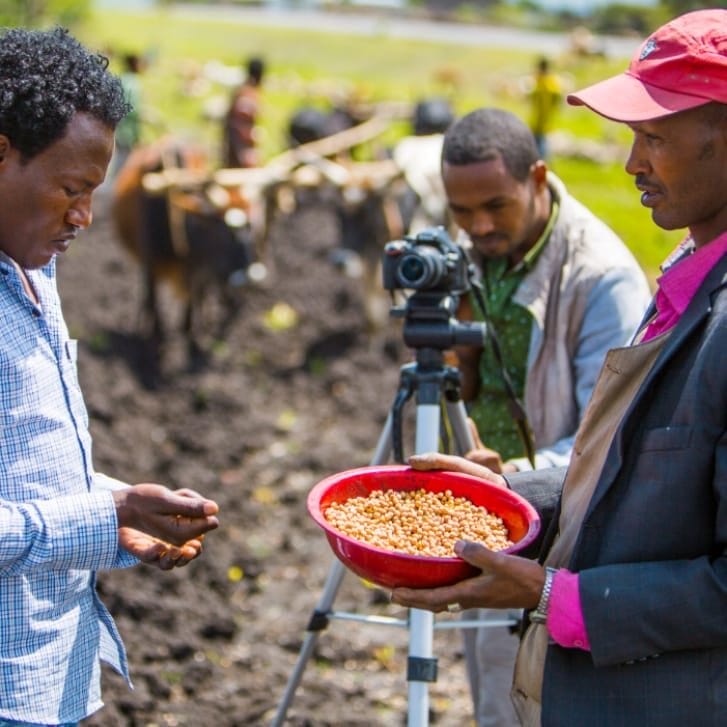 Men in a field handling a bowl of kernels.