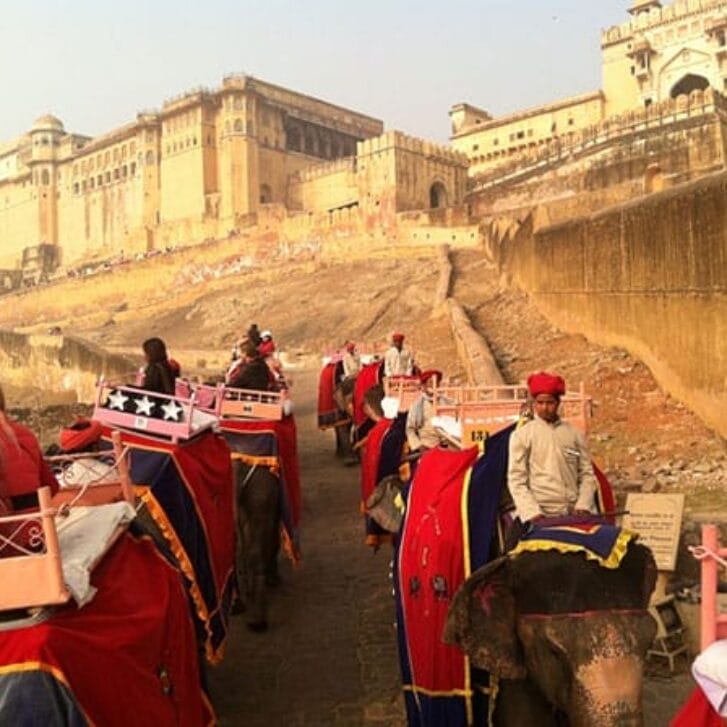 Reporting From a Winter 'Classroom' in India