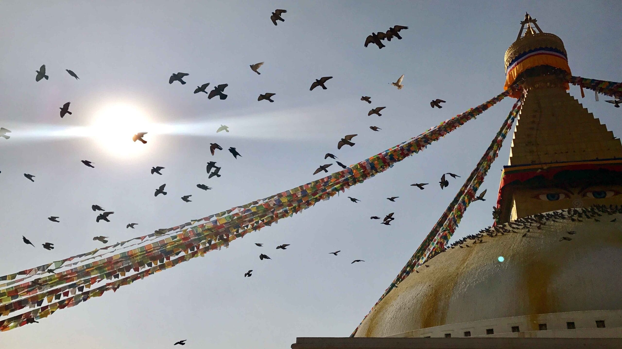 Birds fly over the top of the Boudhanath Temple