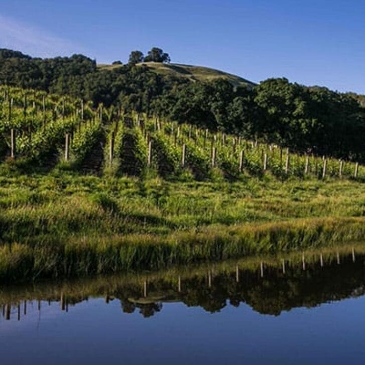 Turning Sonoma Sideways With Sustainability