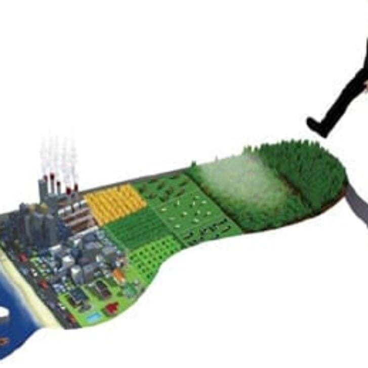 Environmental Engagement Drives the Conditions for Long-Term Economic Growth…and Brand Survival 2