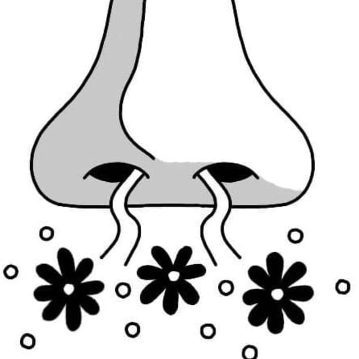 Illustrated nose with flowers coming out of the nostrils.