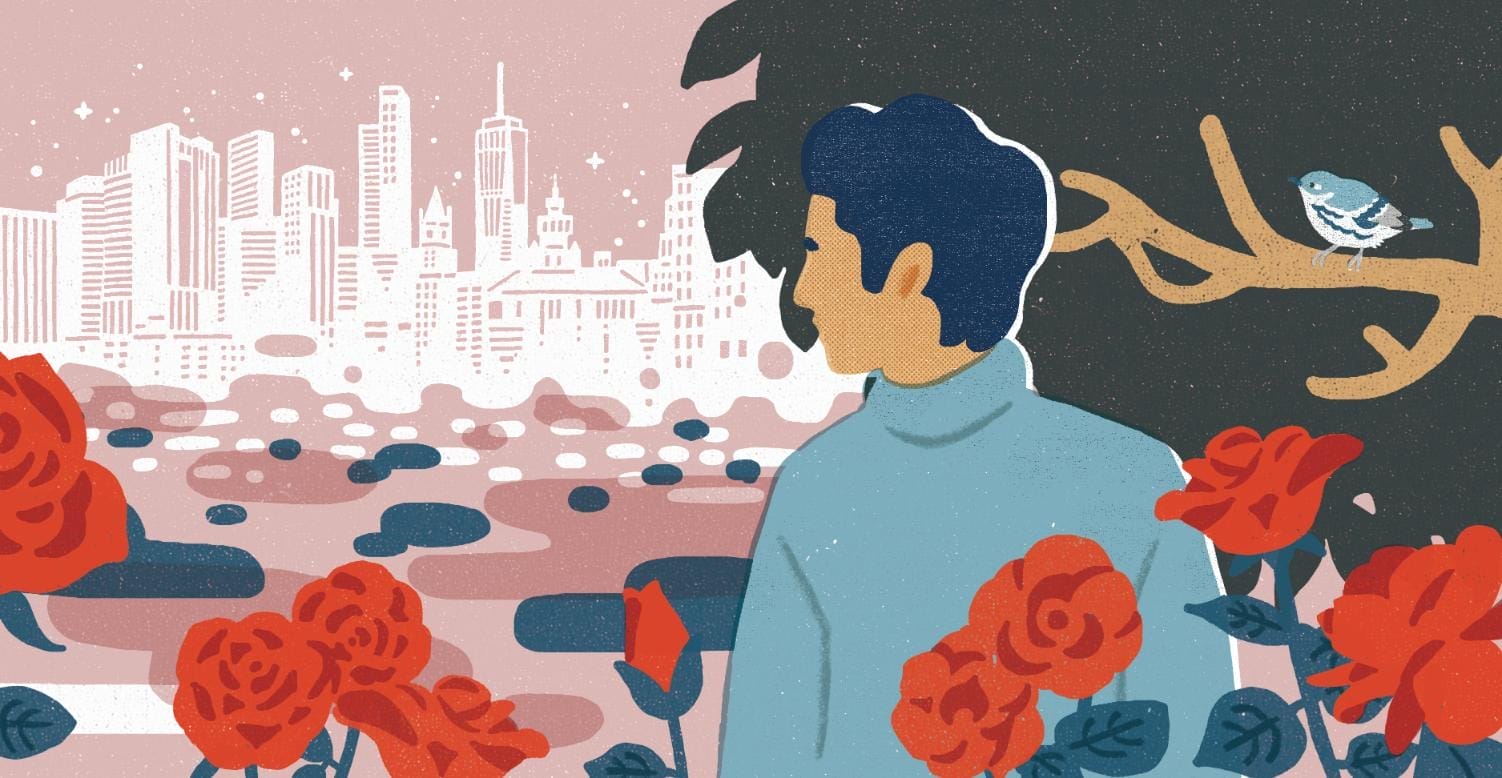 Illustration of a student in front of a bush with roses, staring back at a cityscape.