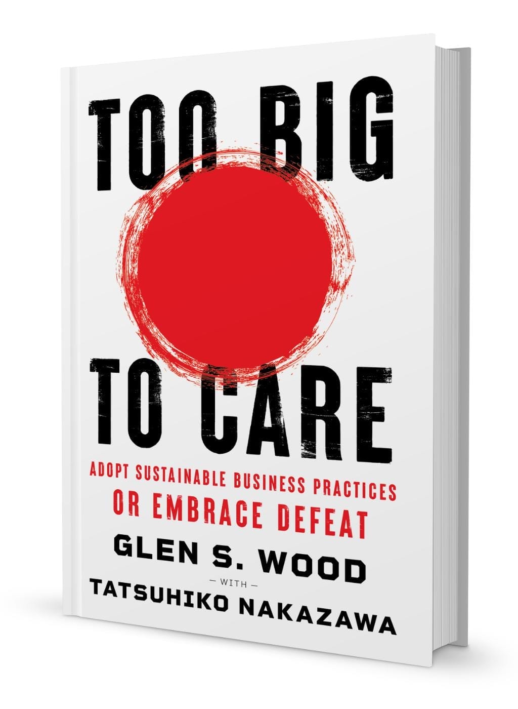 Book cover for Too Big to Care