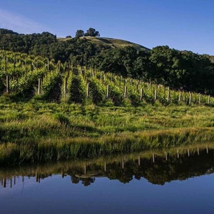 Turning Sonoma Sideways With Sustainability