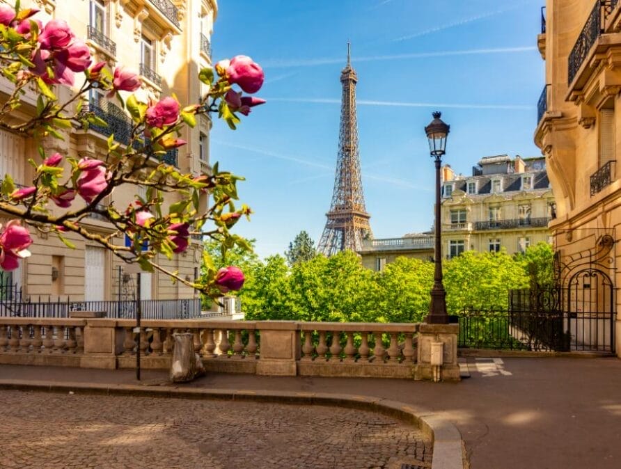 Eiffel Tower amid pink flowers and historical buildings.