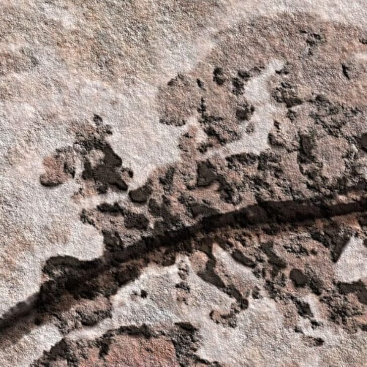 The Eurozone Showdown